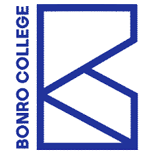 Logo of BonroBIM company, based in Iran